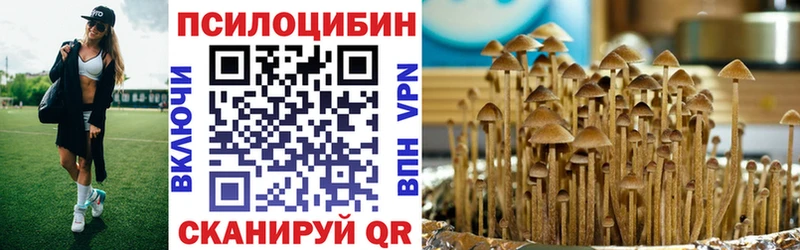 Галлюциногенные грибы мицелий  kraken как войти  Дедовск 